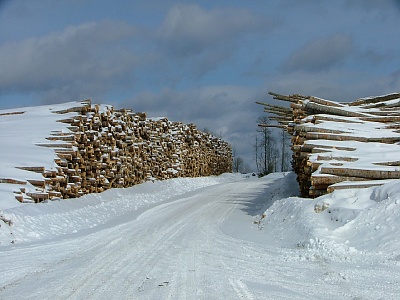 Log Yard in Winter