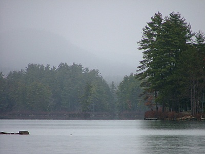 Picture of forested lake